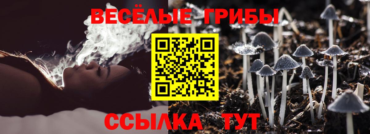 Псилоцибиновые грибы Psilocybine cubensis Тулун