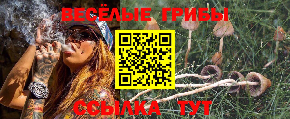 Тулун  Псилоцибиновые грибы прущие грибы  где найти   Вход с VPN 